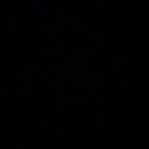 Meet your Posher, Marisa